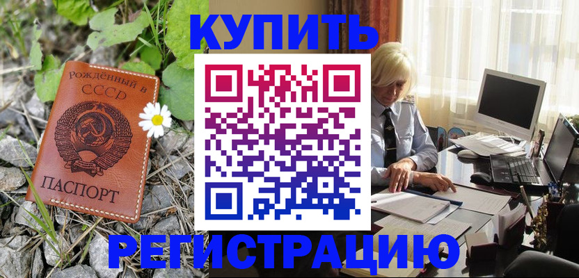 временная регистрация поиск в Зее