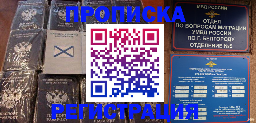 прописка гарантия в Зее